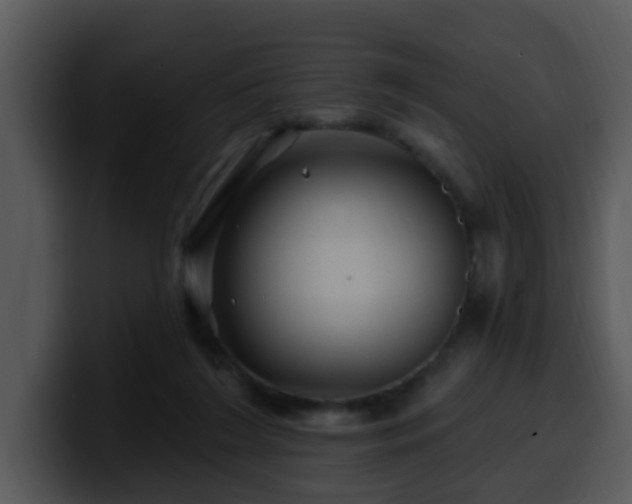 X0000100390212200806061301