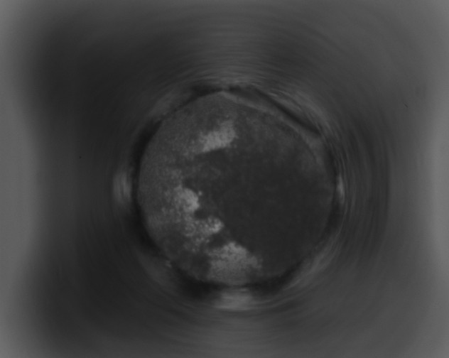 X0000100390214200806061301