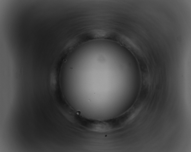 X0000100390215200806061301