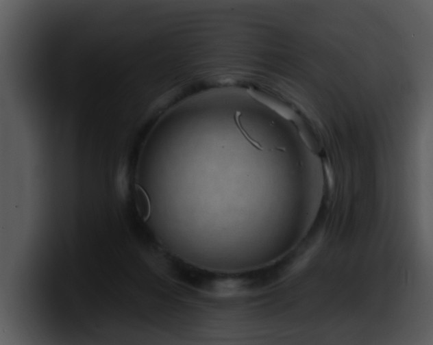 X0000100390216200806061301