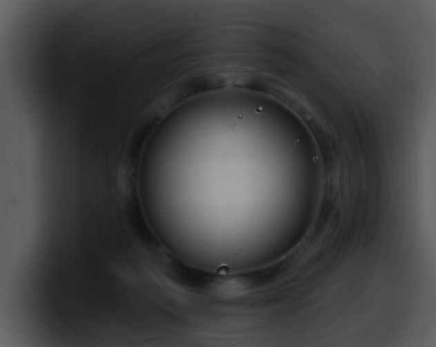 X0000100390218200806061301