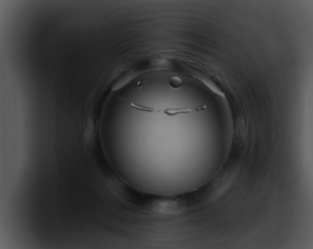 X0000100390220200806061301