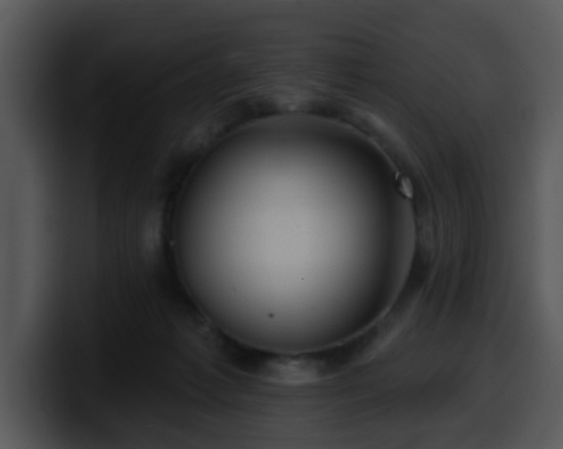 X0000100390221200806061301