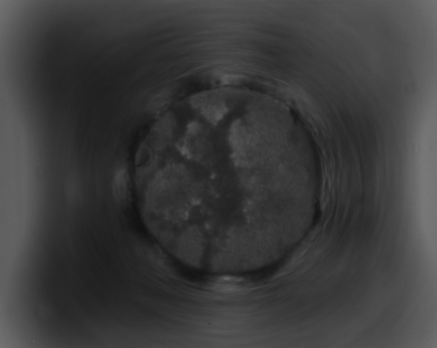X0000100390222200806061301