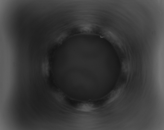 X0000100390223200806061301