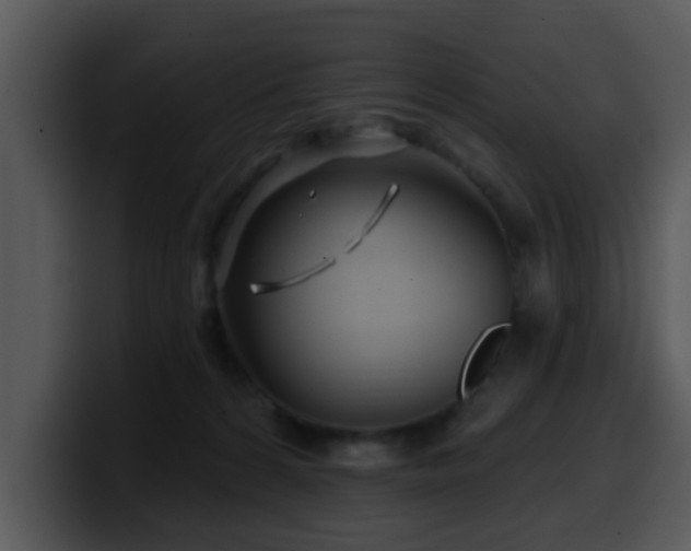 X0000100390224200806061301