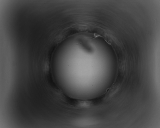 X0000100390226200806061301