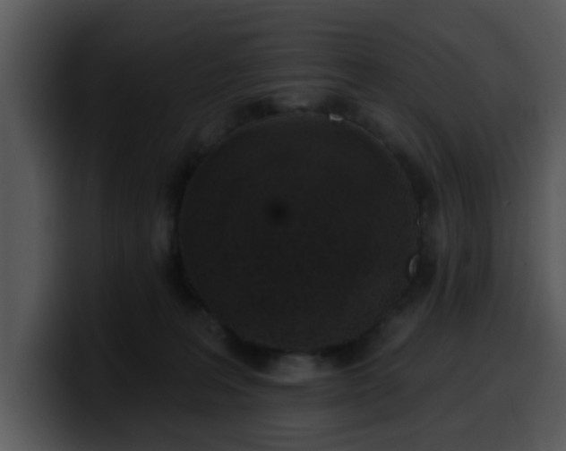 X0000100390227200806061301