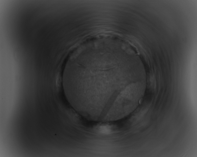 X0000100390228200806061301