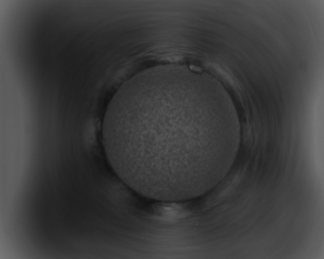 X0000100390229200806061301
