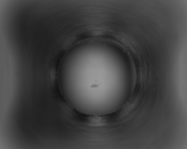X0000100390230200806061301