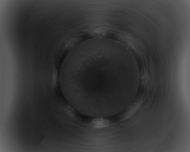 X0000100390231200806061301