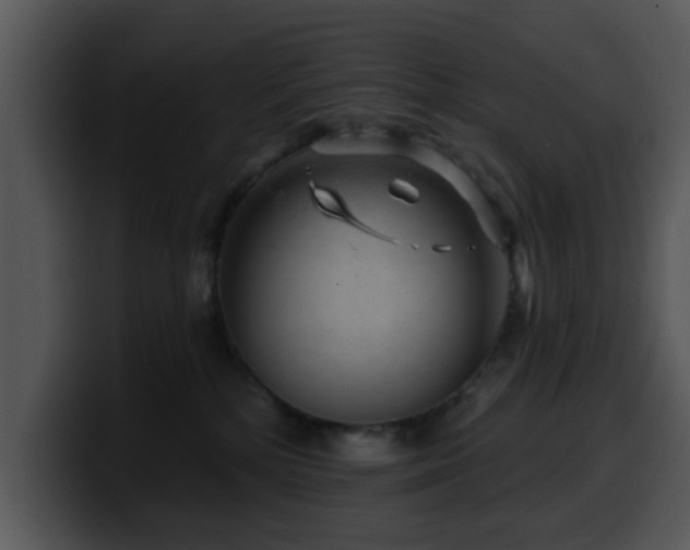 X0000100390232200806061301