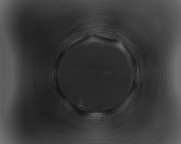 X0000100390233200806061301