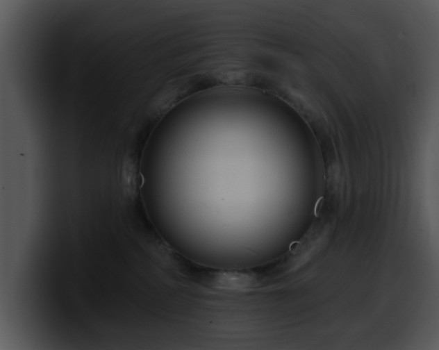 X0000100390234200806061301