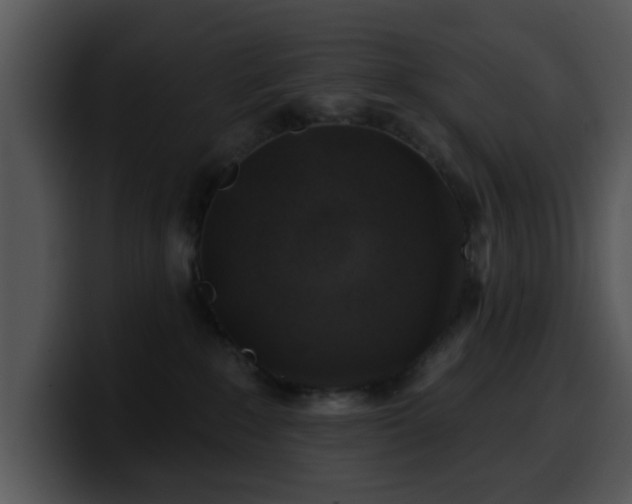X0000100390235200806061301