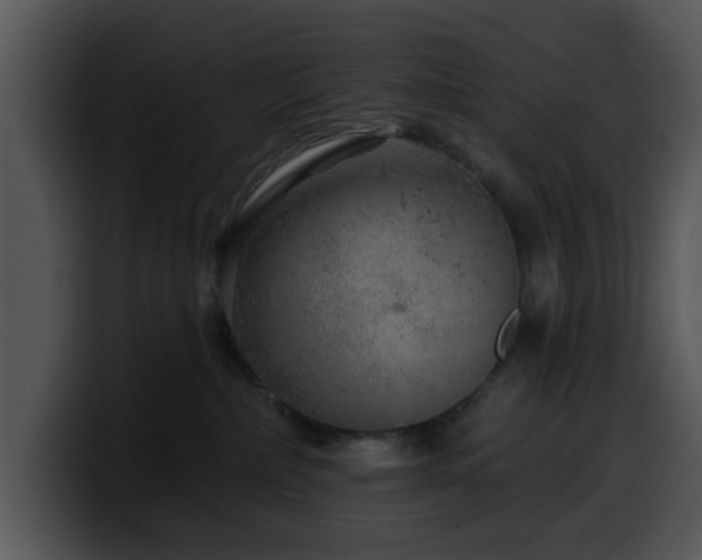 X0000100390236200806061301