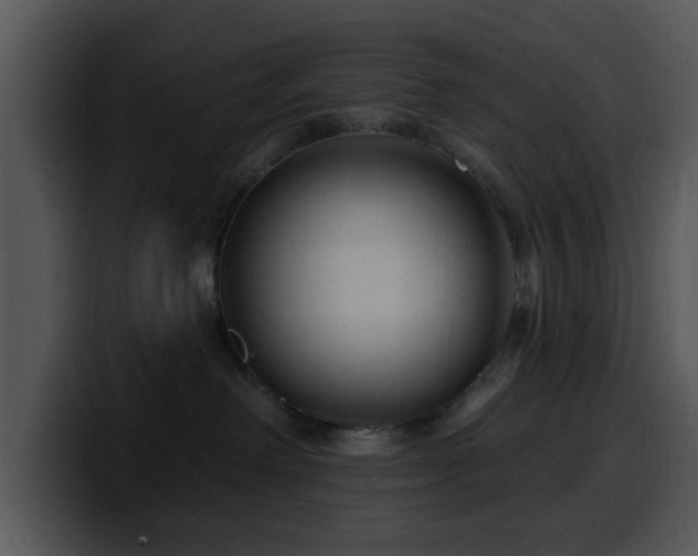 X0000100390238200806061301