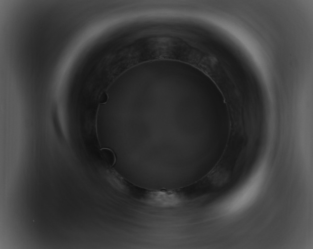 X0000100390239200806061301