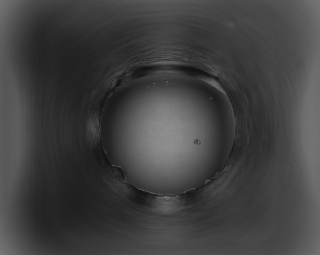 X0000100390240200806061301