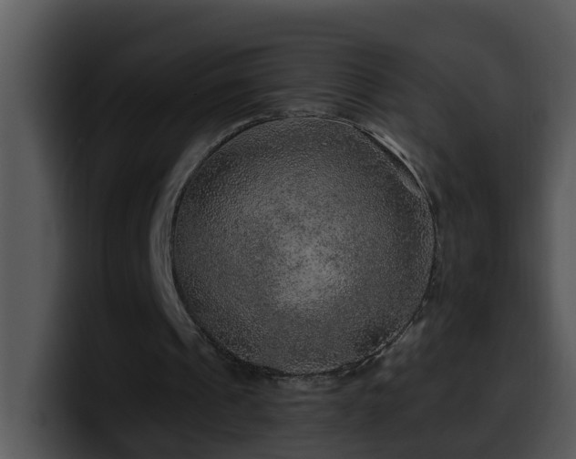 X0000100390241200806061300