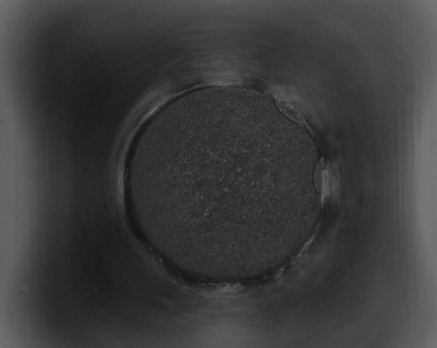 X0000100390243200806061300