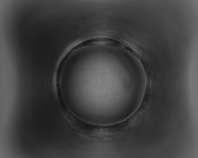 X0000100390244200806061300