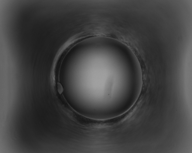 X0000100390246200806061300