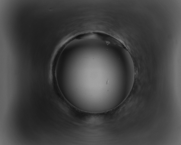 X0000100390248200806061300