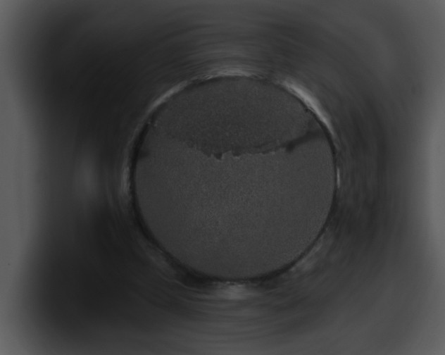 X0000100390249200806061300
