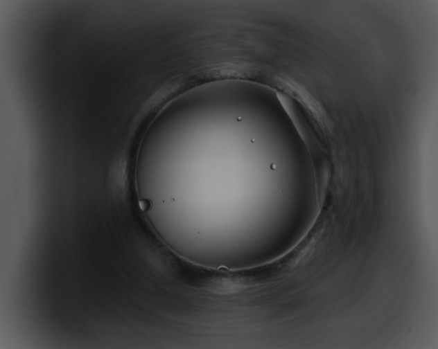 X0000100390250200806061300
