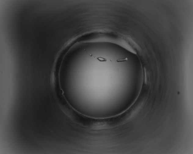 X0000100390252200806061300