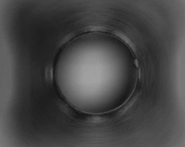 X0000100390253200806061300