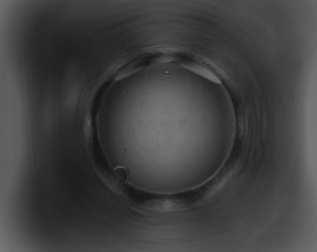 X0000100390254200806061300
