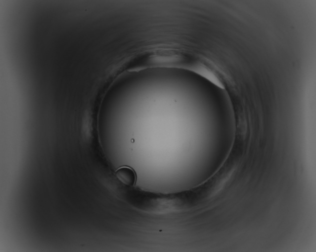 X0000100390255200806061300