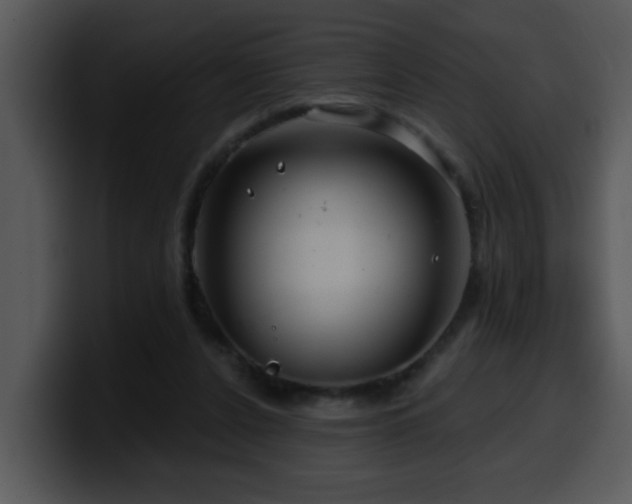 X0000100390256200806061300