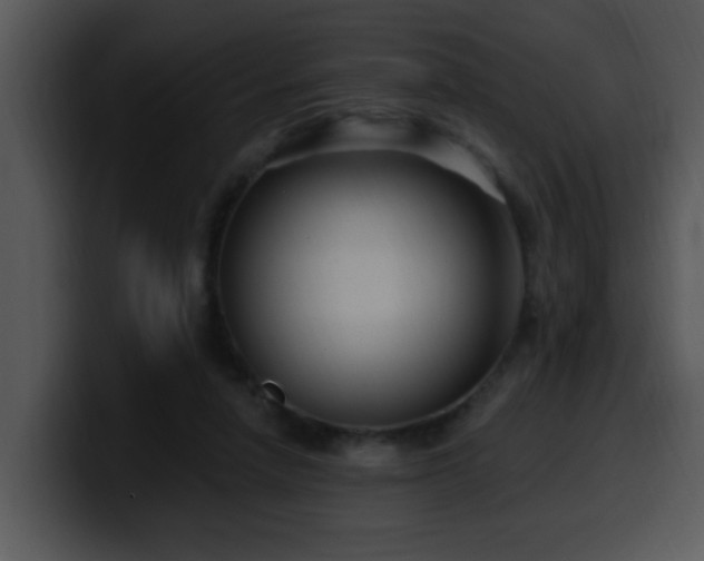 X0000100390258200806061300