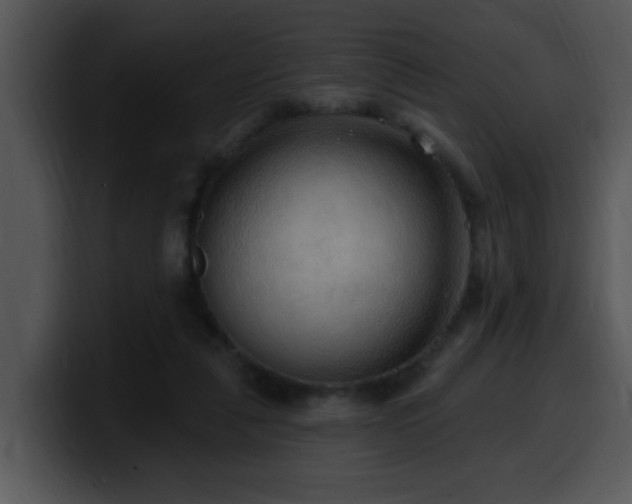 X0000100390259200806061300