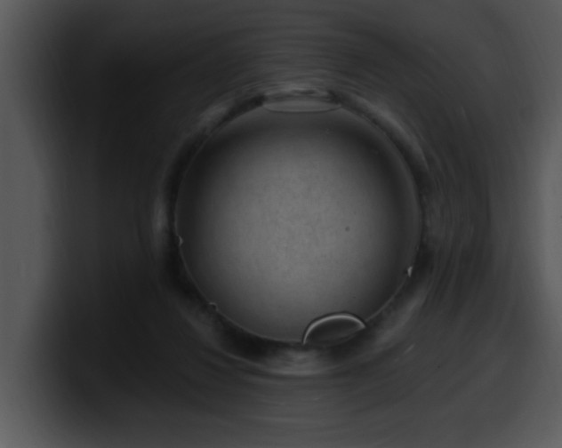 X0000100390260200806061300