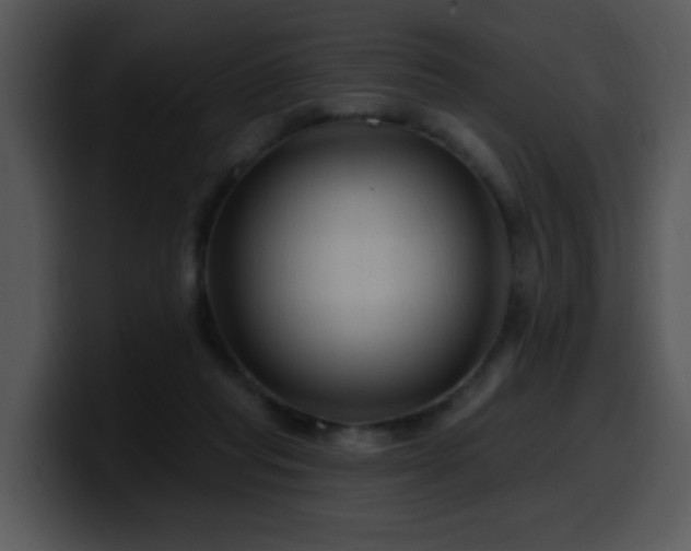 X0000100390261200806061300