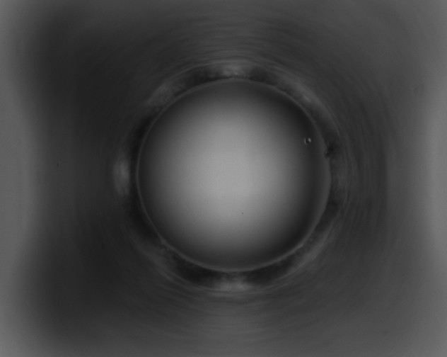 X0000100390262200806061300