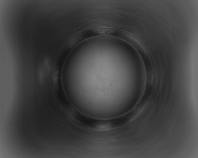 X0000100390263200806061300
