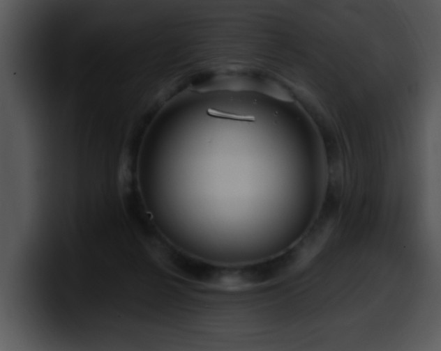 X0000100390264200806061300