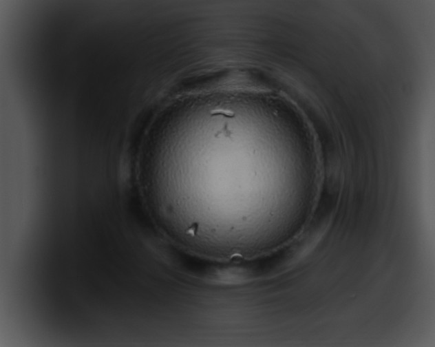 X0000100390268200806061301