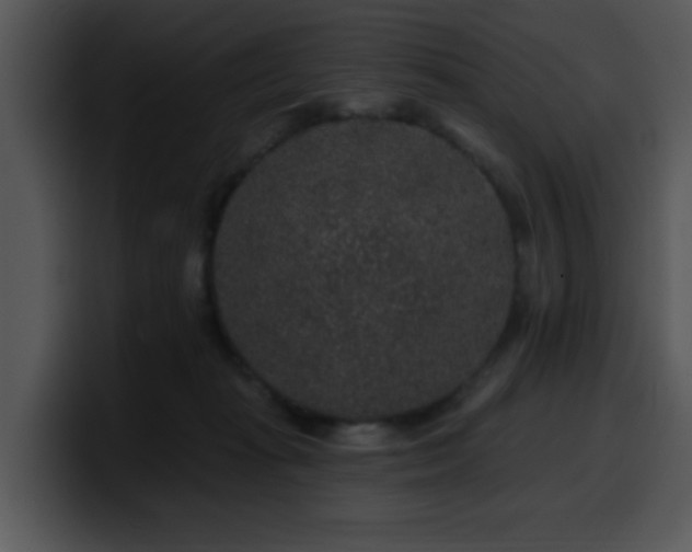 X0000100390269200806061301