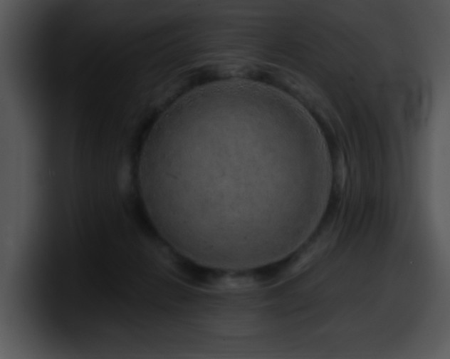 X0000100390270200806061301