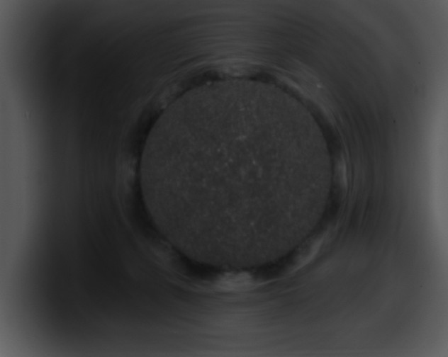 X0000100390271200806061301
