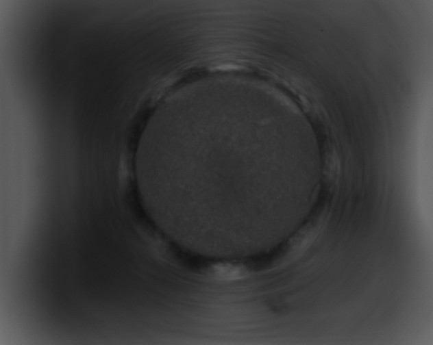 X0000100390272200806061301