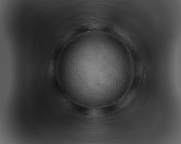 X0000100390273200806061301