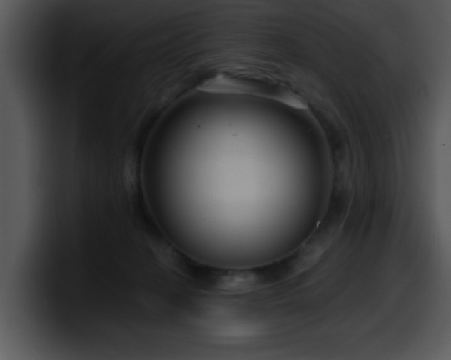 X0000100390274200806061301